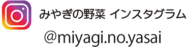 みやぎの野菜　インスタグラム
