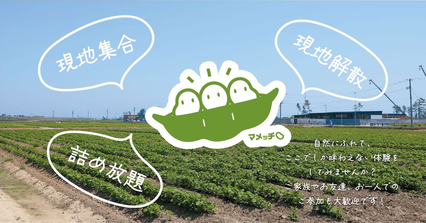 みやぎの野菜