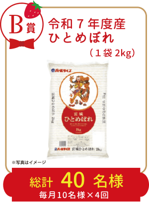 B賞：令和7年度産ひとめぼれ 総計40名様（毎月10名様✕4回）